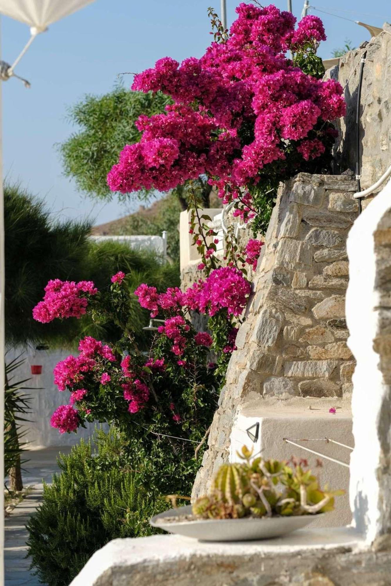 3 Paros All Season Villas Exterior foto